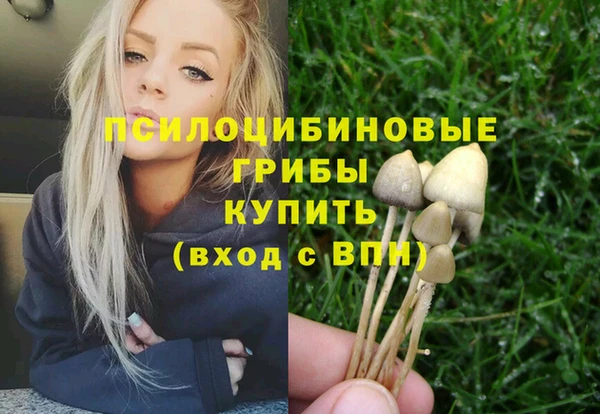 дживик Алексин