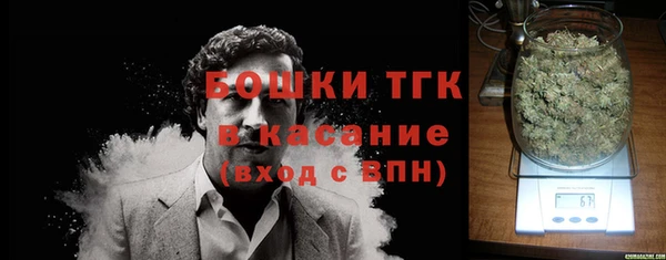 шишки Абаза
