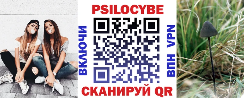 Псилоцибиновые грибы прущие грибы  Катайск 